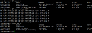《Docker简单入门》